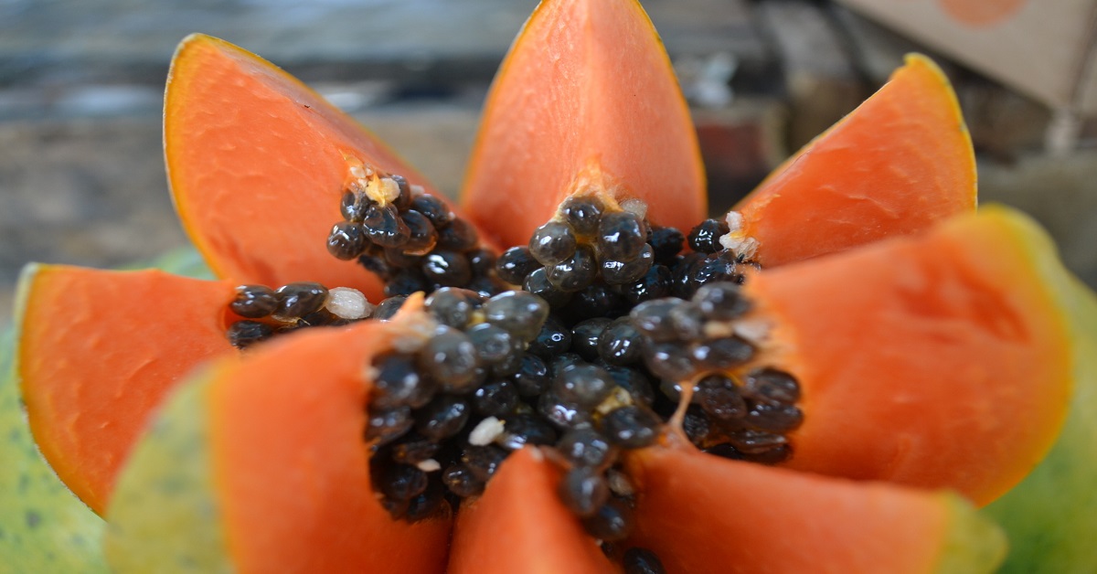 Papaya un frutto salutare per ricette sorprendenti